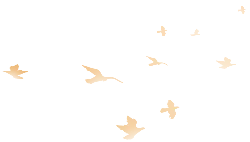 birds